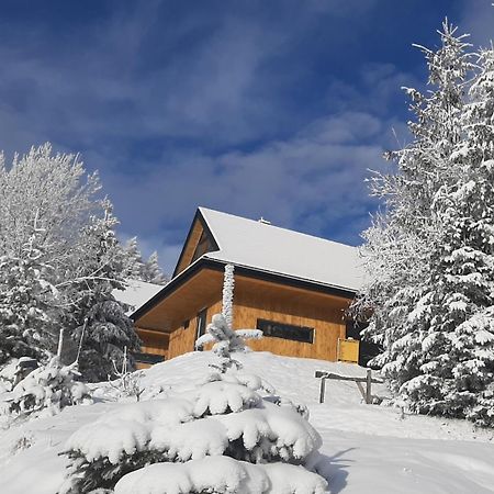 Domki Krynica Villa Buitenkant foto