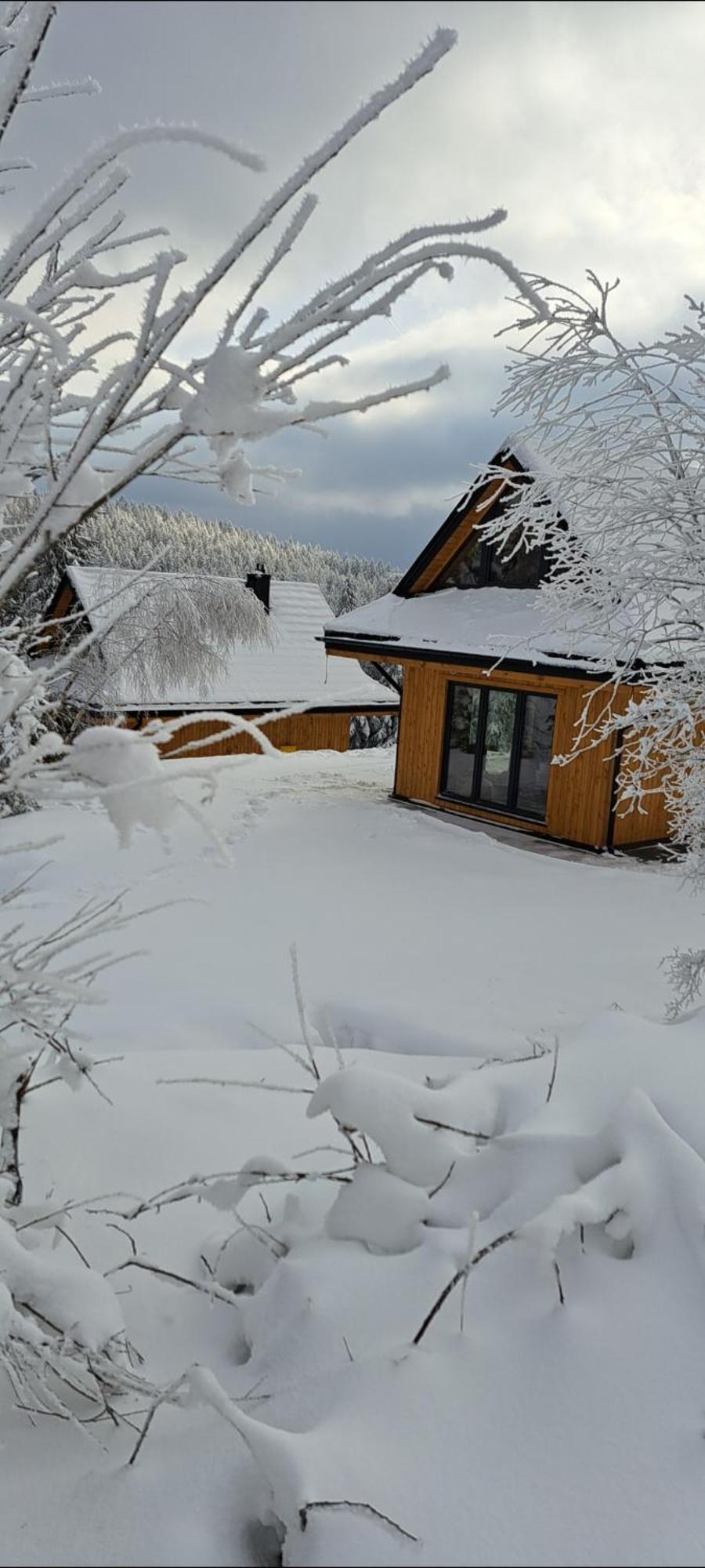 Domki Krynica Villa Buitenkant foto