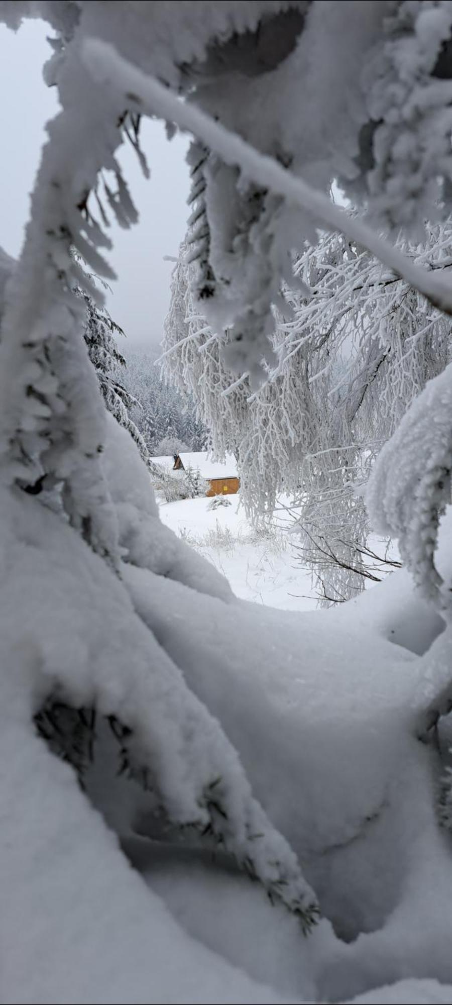 Domki Krynica Villa Buitenkant foto