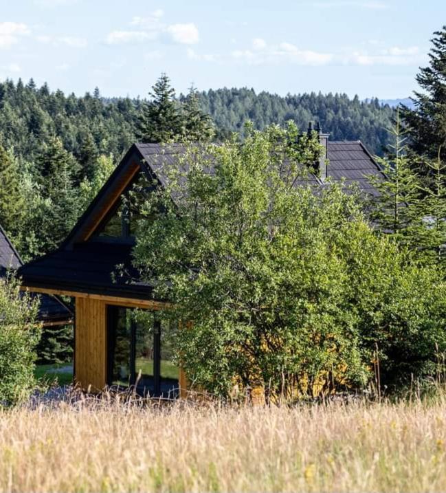 Domki Krynica Villa Buitenkant foto